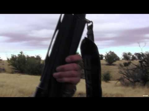 Dead Dog Walkin' - Coyote Loco Part 2