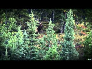 Canada in the Rough  - Jet Boat Elk