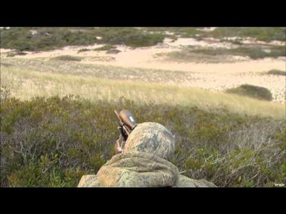 FOXPRO Furtakers - Cape Cod