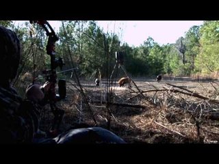 Hitmen Canada - 3 Hogs in 3 Hours