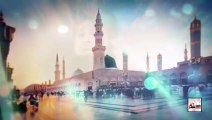 Sher e Nabi Teri Naat By Muhammad Owais Raza Qadri