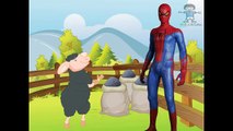 Spiderman Cartoon Finger Family,Baa Baa Black Sheep | Popular Nursery Rhymes Collection fo