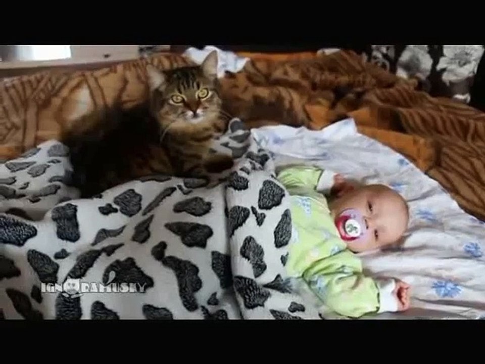 A FUNNY CAT LULLING A BABY