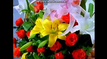 토토,제작,사이트,사설토토,솔루션smartlive1,스카이프:smartlive11