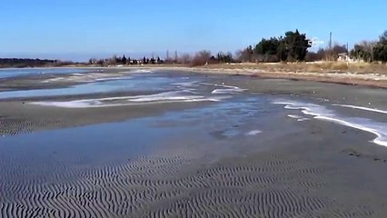 Soğuk hava deniz suyu ve denizanalarını dondurdu