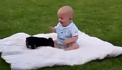 funny baby vs dog fight In this cute dog and baby video ایک چھوتے بچے اور کتے کی