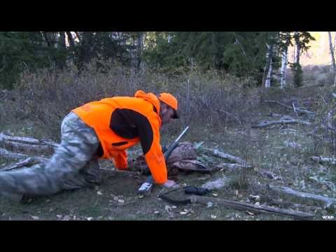 Steve's Outdoor Adventures - Utah Screaming Bulls