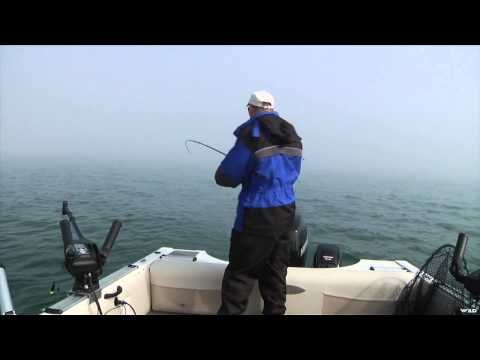 Fishful Thinking - Glow Spoon Salmon