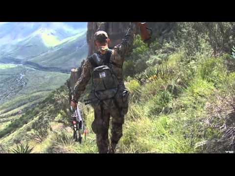 Spook Nation - Texas Desert Sheep