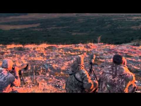 Canada in the Rough - Massive Moose & Mountain Caribou