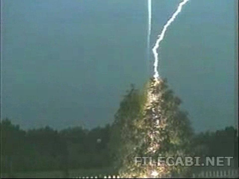 La foudre frappe un arbre en direct !!