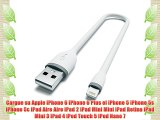 Satechi Cable Lightning a USB Flexible - Certificado Apple MFI (25cm/Blanco)