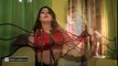 SAHIBA NOOR UNSEEN VIP MUJRA 2016 - PAKISTANI MUJRA DANCE - YouTube