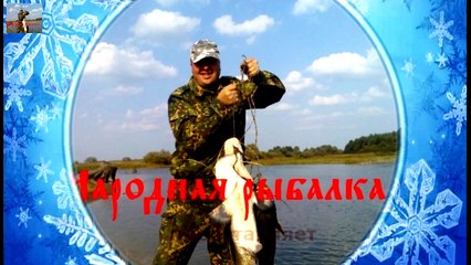 Особенности рыбалки в глухозимье