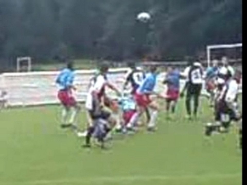 lou-stade français