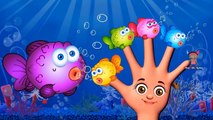 Top Nursery Rhymes Finger Family Collection - 80 Min Non Stop Finger Family Rhymes Music