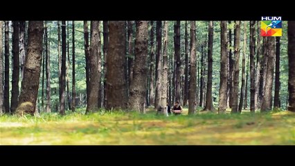 Mana Ka Gharana Episode 10 Full HUM TV Drama 17 Feb 2016