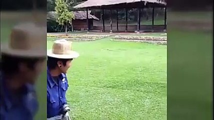 BAKICISININ YERE YIĞILMASINA SEYİRCİ KALMAYAN FİL