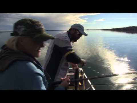 Maximum Limit Fishing - Spawning Colours