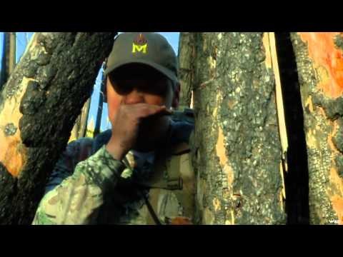 Nosler's Magnum TV - Bugling Bulls of New Mexico