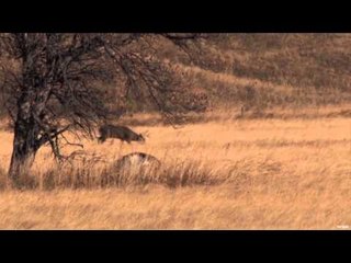 OutfittersRatingTV - South Dakota Whitetail