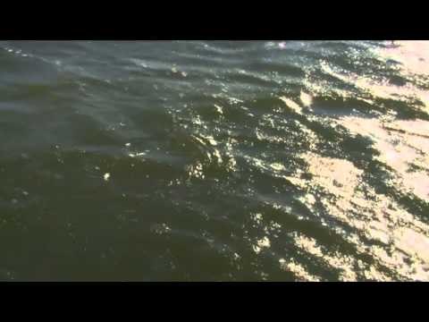 North American Fisherman - Lucky Angler