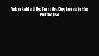 [PDF Download] Rebarkable Lilly: From the Doghouse to the Penthouse [Read] Full Ebook