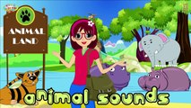 Animal Sound for Children   Bear Sound, Lion Sound and Wolf Sound   Kids Hut
