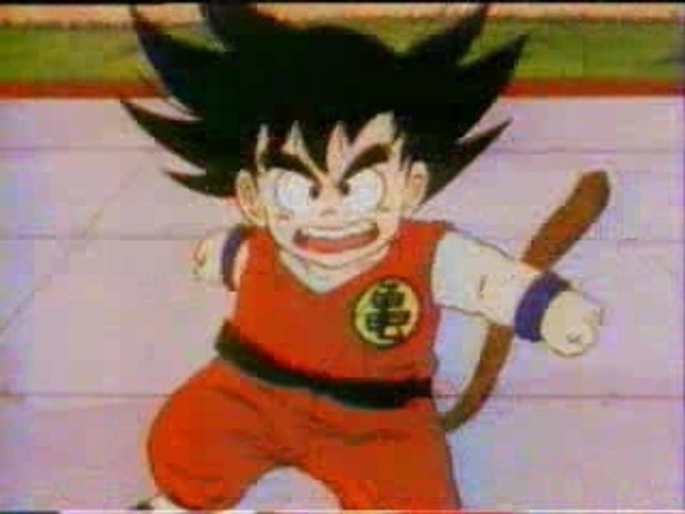 Sangoku vs jackie choun