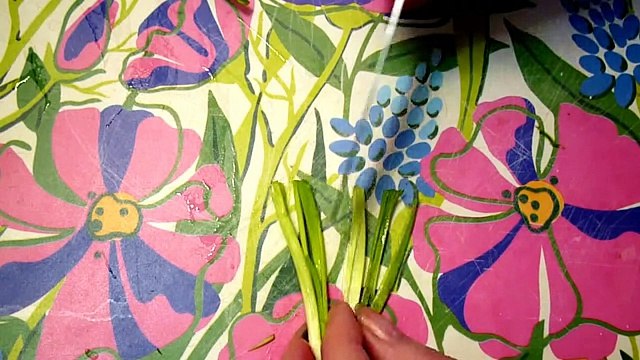 Цветы из лука. Украшения из овощей. Decoration Of Vegetables