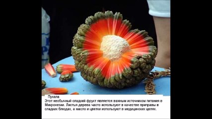 10 экзотических фруктов со всего света, о которых вы не слышали