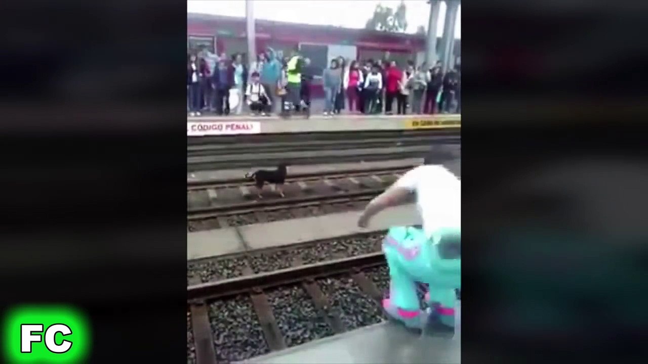 Epic WINS Videos ★ JULY 2015 ★ Awesome WIN Clips Compilation