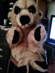 Meerkat puppet dancing