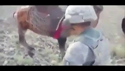 Mubarek Hayvanla Dalga Geçen Amerikan Askerinin Sonu