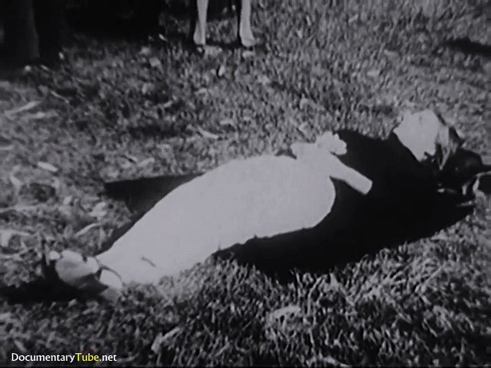 The Psychedelic Drug Movement in 1960s America (720p)