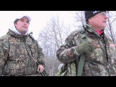 Mojo TV - Canada's Cold Weather Coyotes