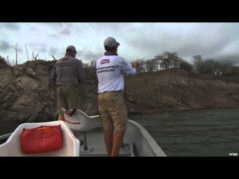 North American Fisherman - El Salto Giants