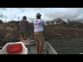 North American Fisherman  - El Salto Giants