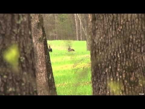 The Gamekeepers of Mossy Oak - Spook Spann