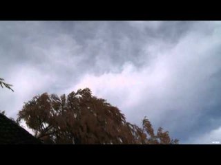 G3 Sportsman - Tank Ducks