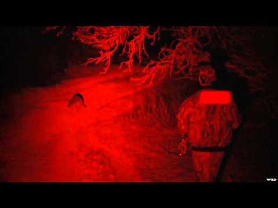 Relentless Pursuit  - Thirst
