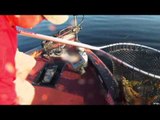 Extreme Angler TV - Smallmouth Splash