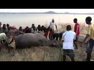 Where in the World is Colorado Buck?  - Namibia with Thirstland Safaris