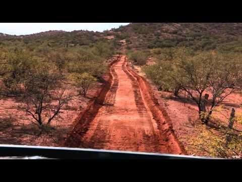 Dead Dog Walkin' - Coyote Loco Part 1