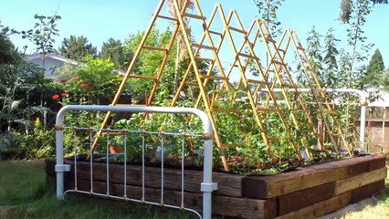 Шпалера для сада своими руками