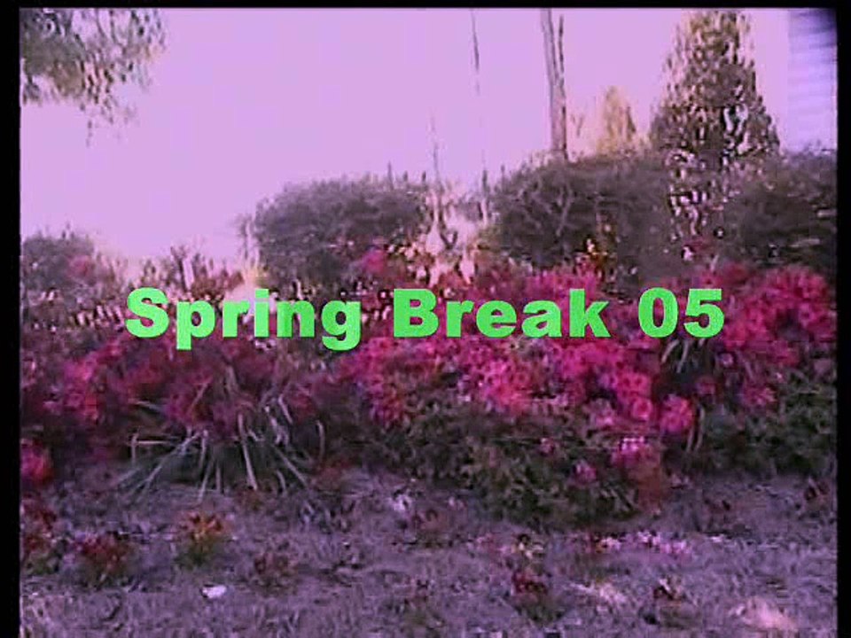 Spring Break 05