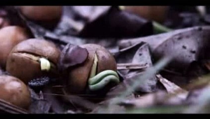 일등카지노《KEB23【。】COM》 카지노사이트