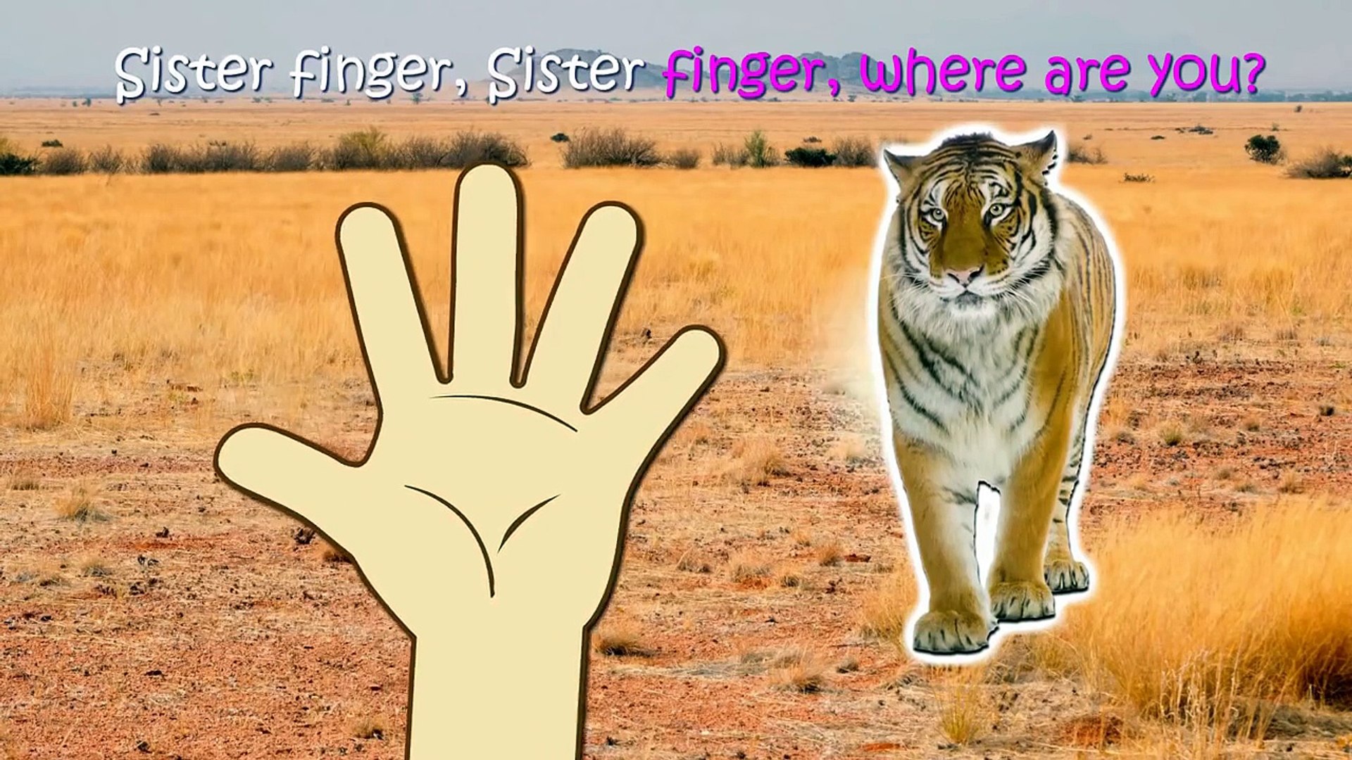 Wild Animals 3D Finger Family Nursery Rhymes Lyrics – Видео Dailymotion