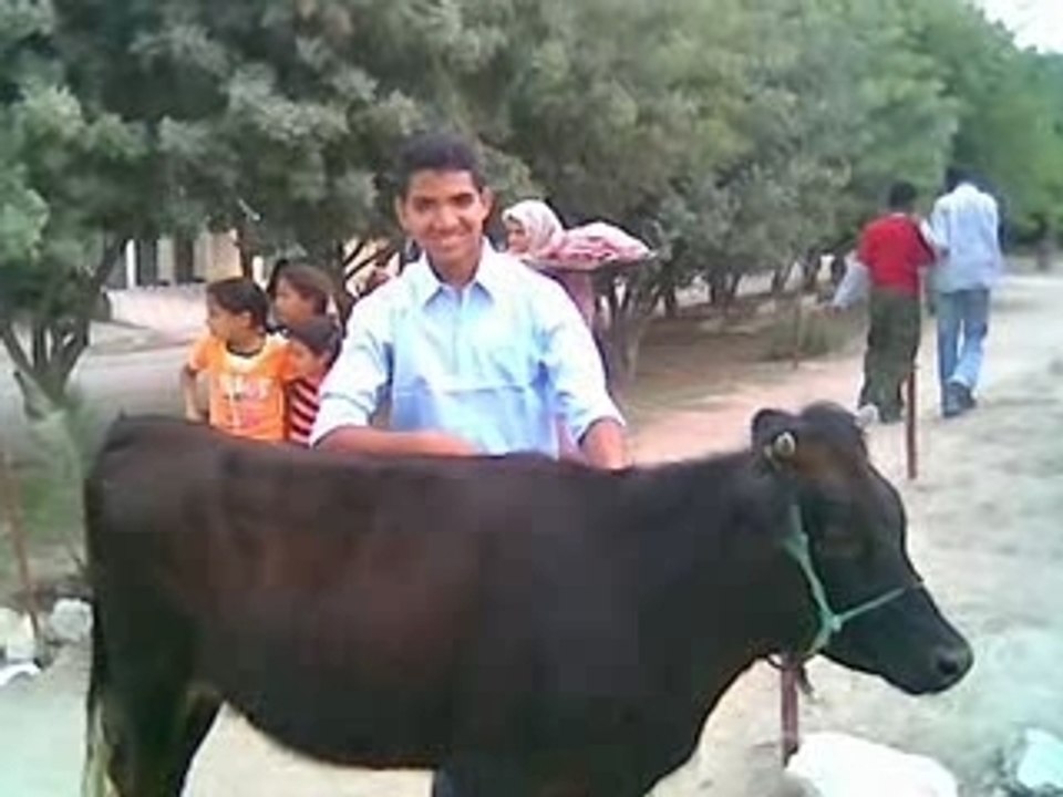 L3arss : wa zaghrti waaaaaa zaghrataa !