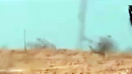 Miracle - White Flying Horse appeared